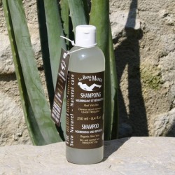 Shampoo - Aloe Vera